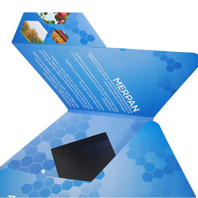 Custom Buttons Control LCD Video Brochure , IPS LCD Screen Video Brochure